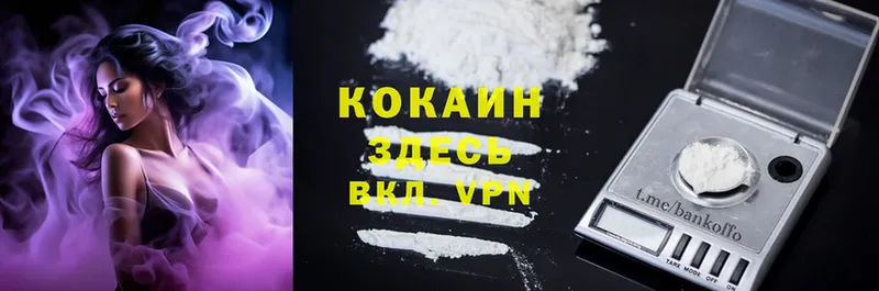 Cocaine Эквадор  МЕГА рабочий сайт  Камень-на-Оби  купить  